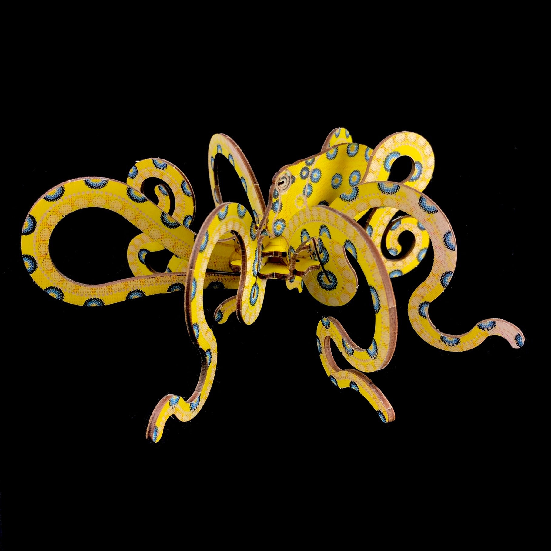 blue ringed octopus drawing