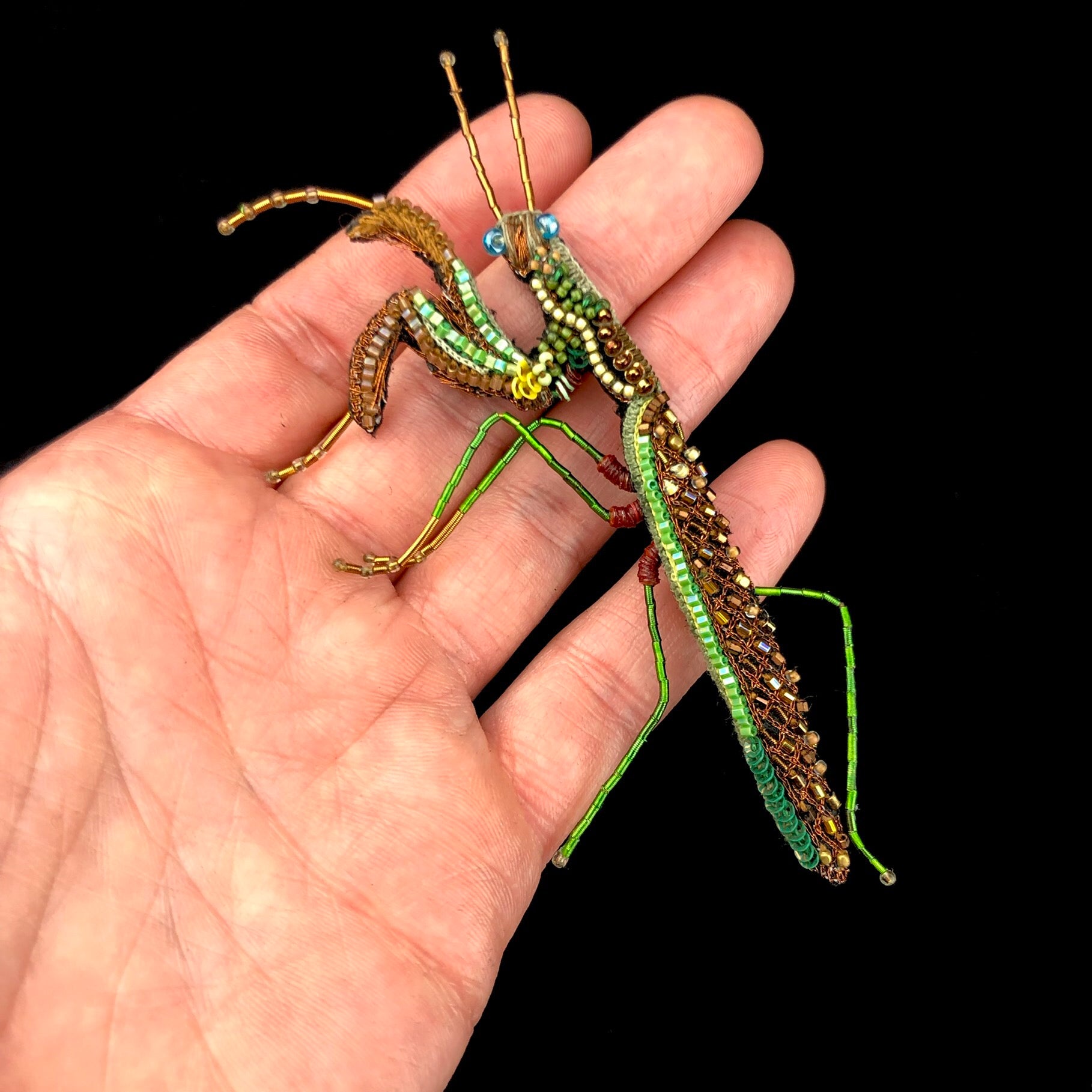 NWT order ZARA SPARKLY PRAYING MANTIS BROOCH